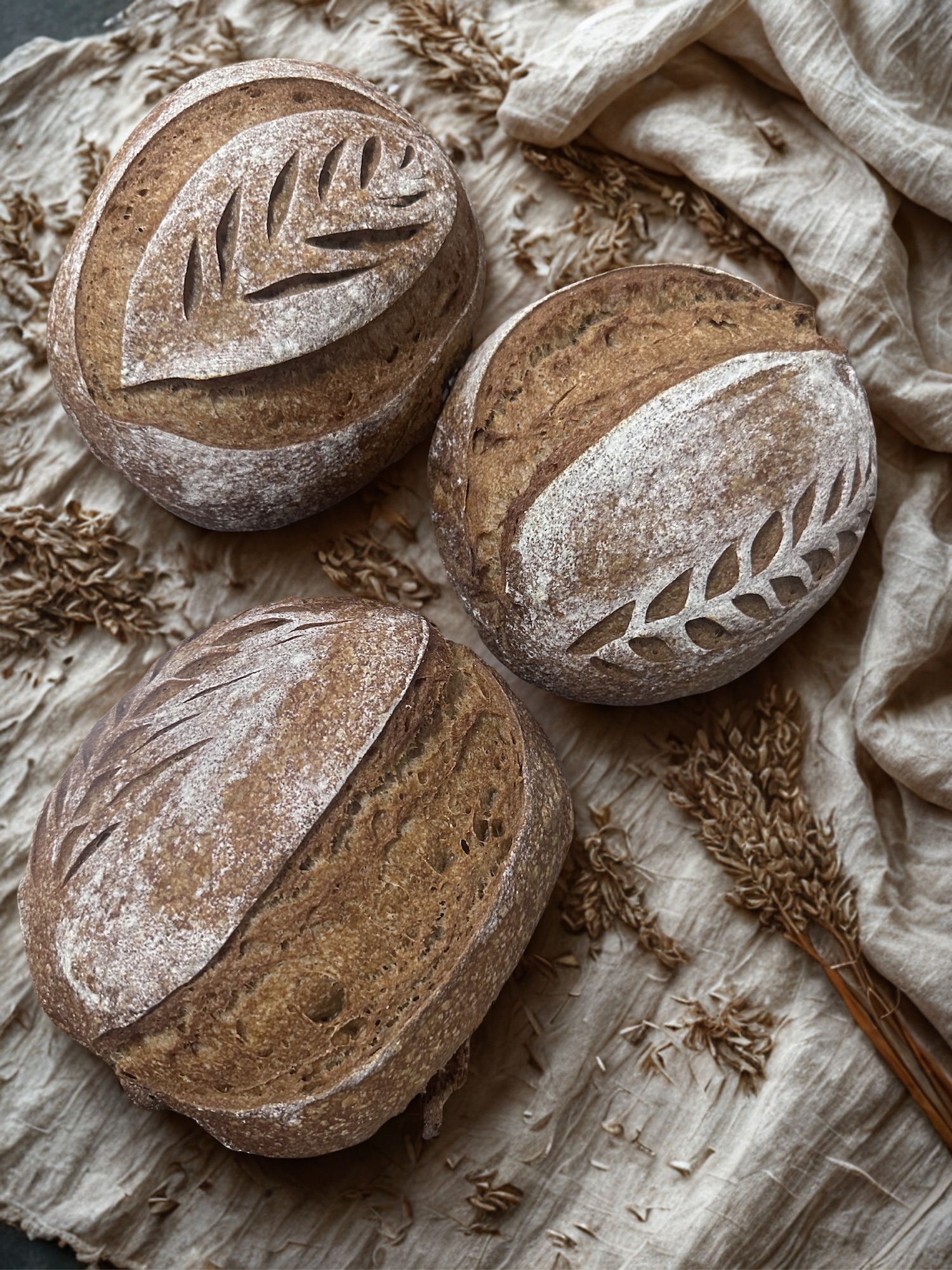 Freshly baked sourdough loaves